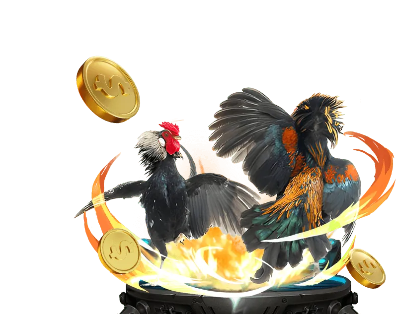 Tổng quan về 123bet